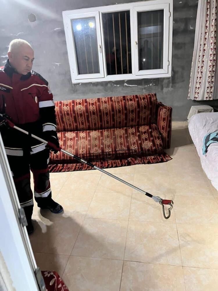 Samandağ’da yerleşim yerinde görülen yılan yakalanarak doğaya bırakıldı