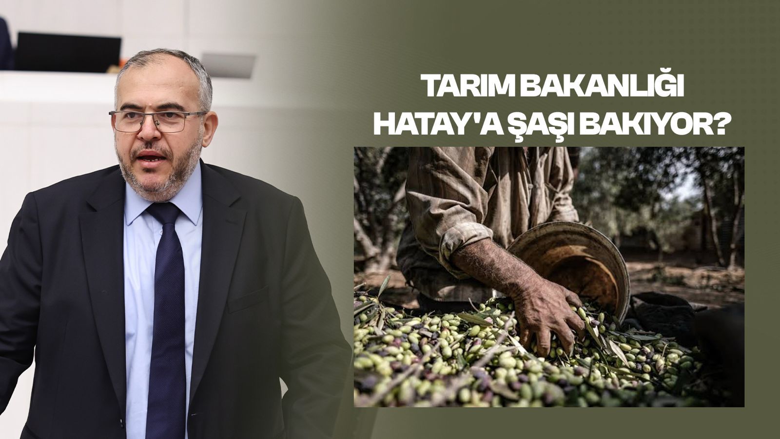 Çalışkan: Hataylı zeytin üreticisi perişan