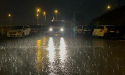 Hatay’da don yağışı etkili oldu