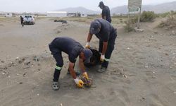 Kuş cennetinden kamyon kamyon moloz ve torbalarca poşet çöp çıktı