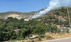Ormanlık alanda çıkan yangın söndürüldü