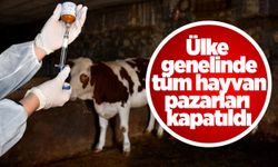 Şap hastalığı, Türkiye’deki hayvan pazarlarını vurdu