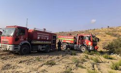 Belen’de ormanlık alanda yangın çıktı