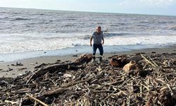 Şiddetli yağışla kahverengiye dönen Akdeniz’de kıyı kütüklerle kaplandı