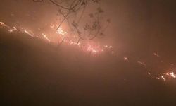 Hatay'da yıldırım düşmesiyle gece çıkan orman yangına müdahale devam ediyor