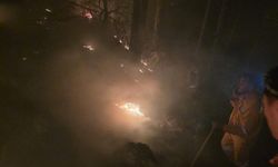 Ormanlık alandaki yangın 16’ncı saatte kontrol altına alındı