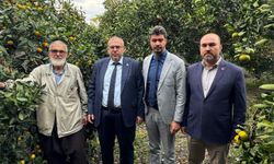 Çalışkan’dan Hatay’da Narenciye Alarmı: Çiftçi Ürünü 1 Liraya Satıyor, Milli Narenciye Politikası Şart!