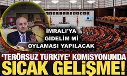 Terörsüz Türkiye Komisyonu, İmralı'ya gidelim mi oylaması yapacak