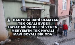 Banyosu dahi olmayan tek odalı evde hayat mücadelesi veren Meryem'in tek hayali mavi boyalı bir oda