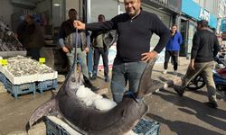138 kiloluk kılıç balığı ilgi odağı oldu