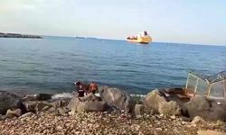 Gemiden denize düşen angus yüzerek karaya ulaştı