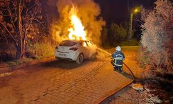 Defne’de otomobil alevlere teslim oldu