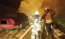 Yayladağı’nda otomobil yangını