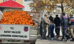 Portakal çalarken suçüstü yakalanan 5 şahıs yakalandı