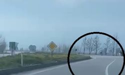 Akrobatik hareketler yapan motosiklet sürücüsü tarlaya uçtu