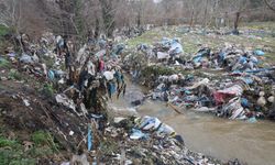 Çilek bahçesi selle birlikte su altında kaldı