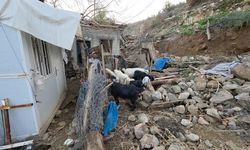 Depremde yıkılan evinin yerine yaptığı ahıra aşırı yağışta istinat duvarı çöktü