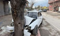 Ehliyetsiz sürücünün kontrolünü kaybettiği otomobil ağaca çarptı