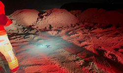 Camide görülen yılan yakalandı