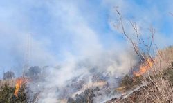 Defne'de çıkan bahçe yangınından alevler yükseldi