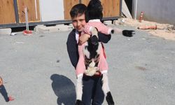 'Boncuk' kuzu, elbisesi ve biberonuyla ilgi odağı oldu