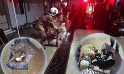 Su giderine yavrulayan anne kedi ve yavrularını itfaiye kurtardı