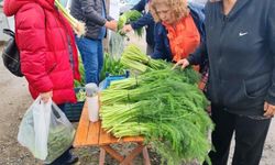 Ot festivali şiddetli yağışla yarıda kaldı