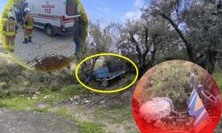 Zeytin bahçesine uçan patpatın sürücüsü öldü