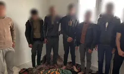 Hatay’da 7 kaçak göçmen yakalandı
