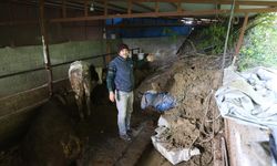 Heyelanda önü toprakla dolan ahırda hayvanlar mahsur kaldı