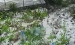 Dolu yağışı beyaza bürüdü