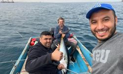 Öğretmen 60 kiloluk orkinos yakaladı