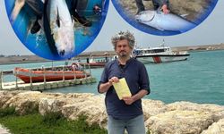 Öğretmenin mutluluğu yazılan cezayla yarıda kaldı