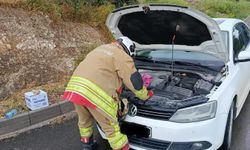 Otomobilin motoruna giren kediler kurtarıldı