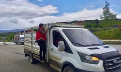 Kurban Bayramı öncesi hayvan denetimleri sürüyor