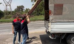 Kurban Bayramı öncesi hayvan satış noktalarında denetim