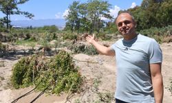 Taş yığınları, onlarca tarım arazisine zarar verdi
