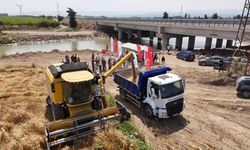 Hatay’da "her tohum bir gıda" projesinde ekilen buğday hasat edildi