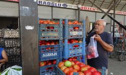 Sebze halindeki domatesin fiyatı 15 TL'ye düştü