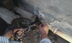 1 buçuk metrelik 2 yılanı saklandığı delikte yakaladı