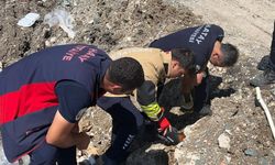 🐈Anne kedi yavruları kurtarılana kadar ekiplerin başında bekledi