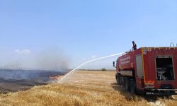 Kırıkhan'da anız yangını yaşandı