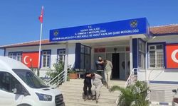 Taksiyle göçmen kaçıran insan tacirleri polisten kaçamadılar