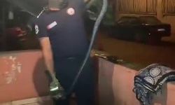 🐍Bulaşık makinesine giren 2 metrelik karayılanı itfaiye çıkardı