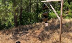 🌲Hassa orman işletme şefliğinden tuzaklara zarar vermeyin uyarısı