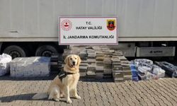 Eşya taşınan tır dorsesinden 3 bin karton kaçak sigara çıktı