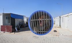 Firari maymun, ortalığı birbirine kattı