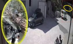 Evin avlusundaki ağaç kamyonetin üzerine devrildi