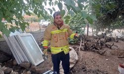 Hatay’da yerleşim alanlarında görülen yılanlar doğal yaşam alanına bırakıldı