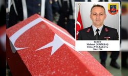 Kavga ihbarına giden jandarma şehit oldu